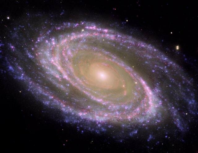 spiral_galaxy_m81.preview